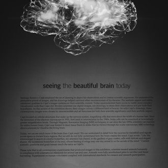 fMRI Research - Science Meets Code